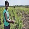 Image Feed
