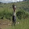Image Feed